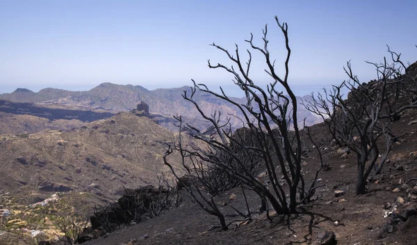Gran Canaria dopo il fuoco selvaggio — Foto Stock