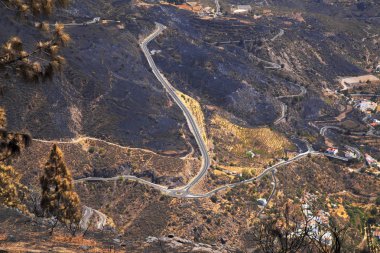 Gran Canaria vahşi yangından sonra