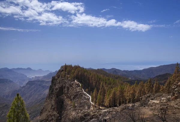 Gran Canaria after wild fire