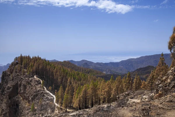 Gran Canaria after wild fire