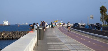 Gran Canaria vahşi yangın
