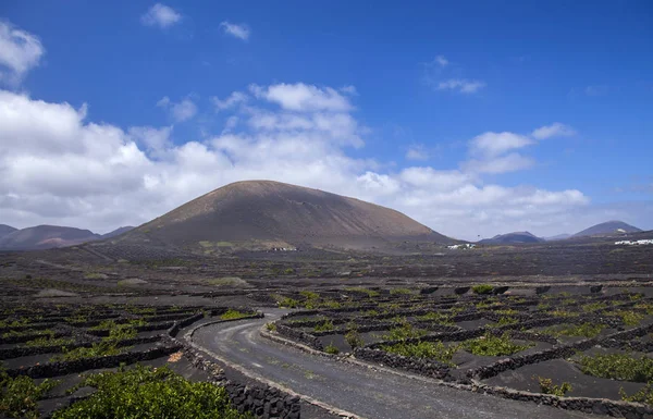 Lanzarote, la geria weinberge — Stockfoto