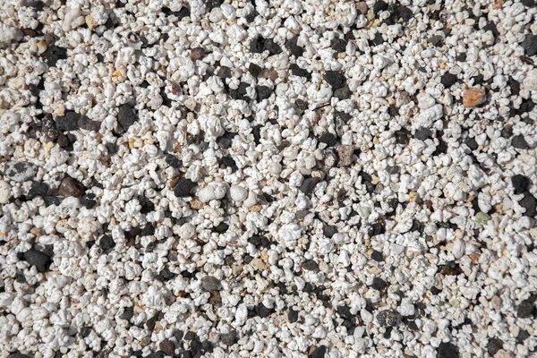 Rhodolith tle plaży — Zdjęcie stockowe