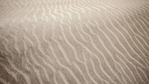Padrão de areia e vento — Fotografia de Stock