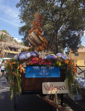 Fiestas del Pino