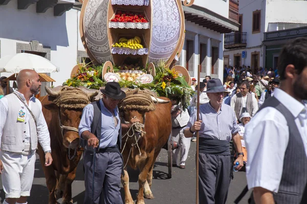 Fiestas del Pino — Stock Photo, Image