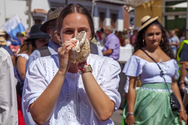 Fiestas del Pino — Stock Photo, Image