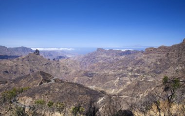 Gran Canaria vahşi yangından sonra