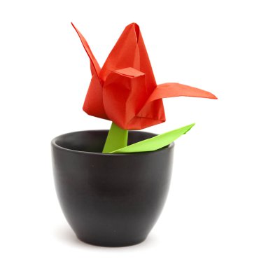 origami modeli beyaz arka plan üzerinde izole