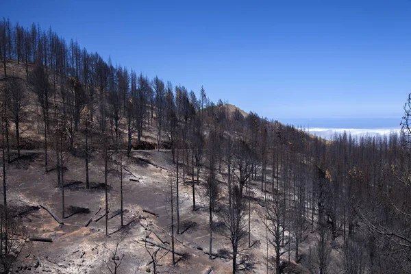 Gran Canaria después del fuego salvaje — Foto de Stock