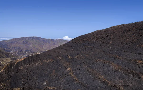 Gran Canaria dopo il fuoco selvaggio — Foto Stock