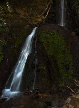 Gran Canaria, Barranco de los Cernicalos