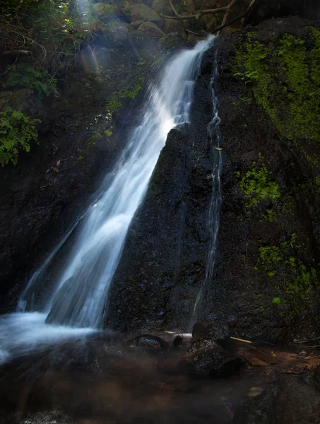 Гран-Канарія, Barranco-де-Лос-Cernicalos — стокове фото