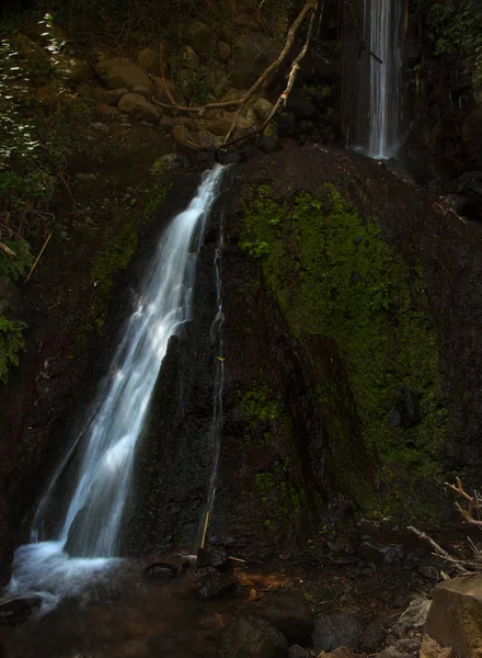 Gran Canaria, Barranco de los Cernicalos — Stockfoto