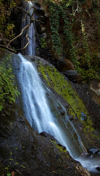 Gran Canaria, Barranco de los Cernicalos — Stockfoto