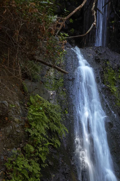 Gran Canaria, Barranco de los Cernicalos — Stockfoto