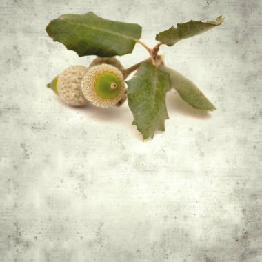  Eski kağıt arkaplan