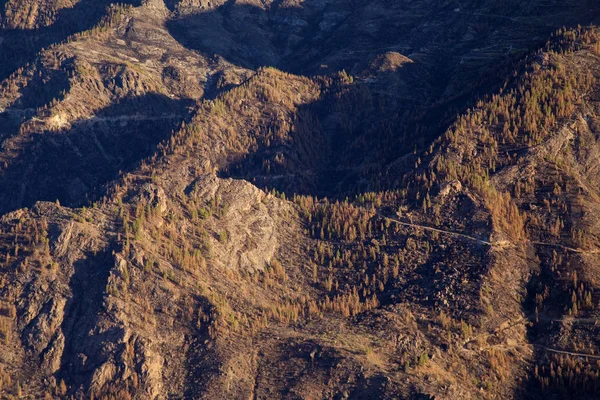 Gran Canaria sonra orman yangını — Stok fotoğraf