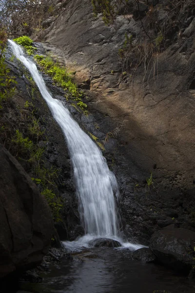 Gran Canaria, Barranco de los Cernicalos ravine, small stream — стокове фото