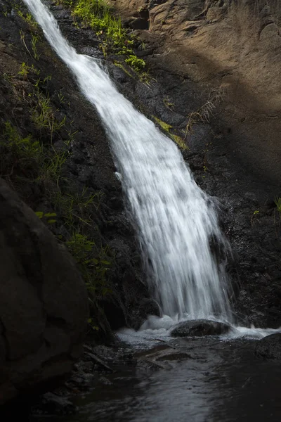 Gran Canaria, Barranco de los Cernicalos ravine, small stream — стокове фото