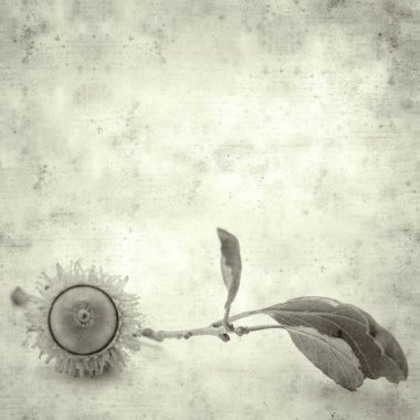  Eski kağıt arkaplan