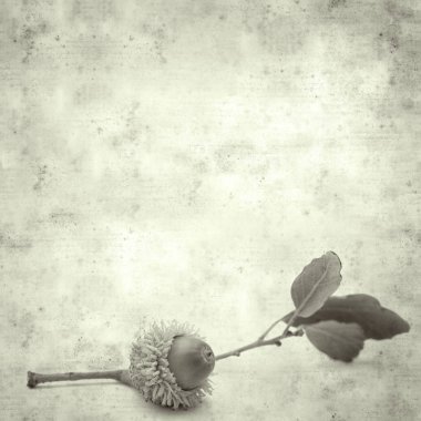  Eski kağıt arkaplan