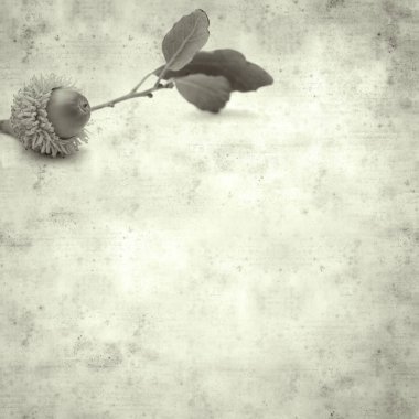  Eski kağıt arkaplan