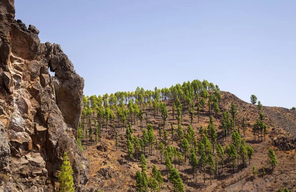 Gran Canaria, September — Stockfoto