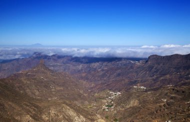 Büyük Kanarya, Ekim