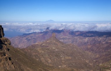 Büyük Kanarya, Ekim