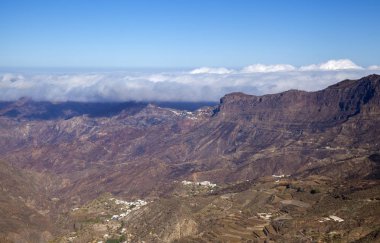 Büyük Kanarya, Ekim