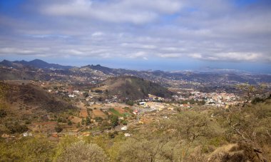 Büyük Kanarya, Ekim