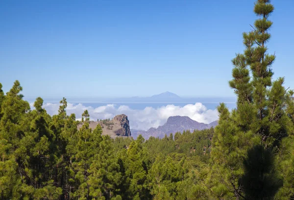 Gran Canaria, říjen — Stock fotografie