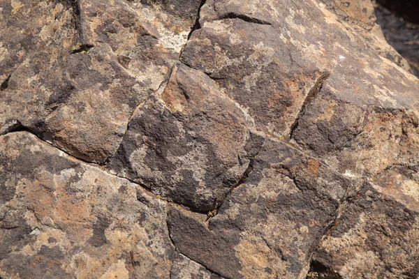 Fels mit Flechten — Stockfoto