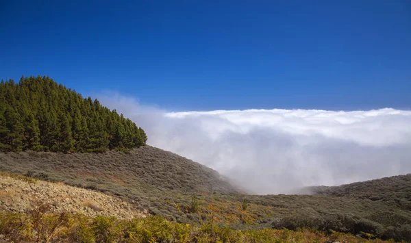 Gran Canaria, octubre —  Fotos de Stock