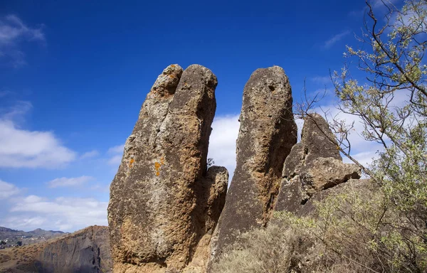 Gran Canaria, oktober — Stockfoto