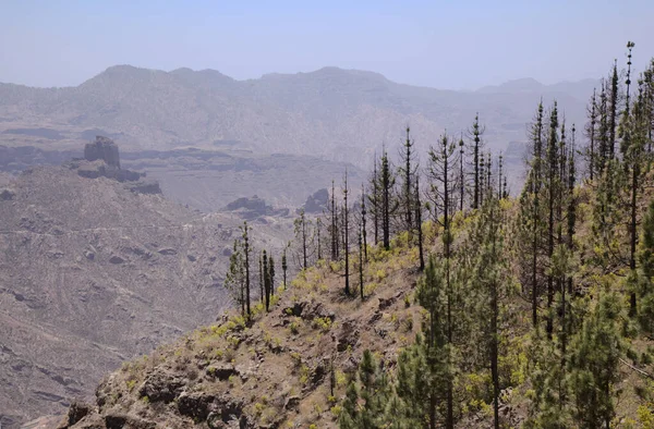 Gran Canaria Paesaggio Della Parte Centrale Dell Isola Las Cumbres — Foto Stock