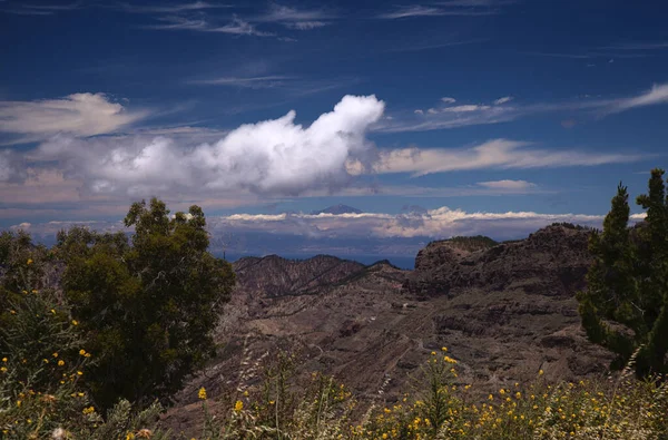 Gran Canaria Paisaje Parte Central Isla Las Cumbres Decir Las —  Fotos de Stock