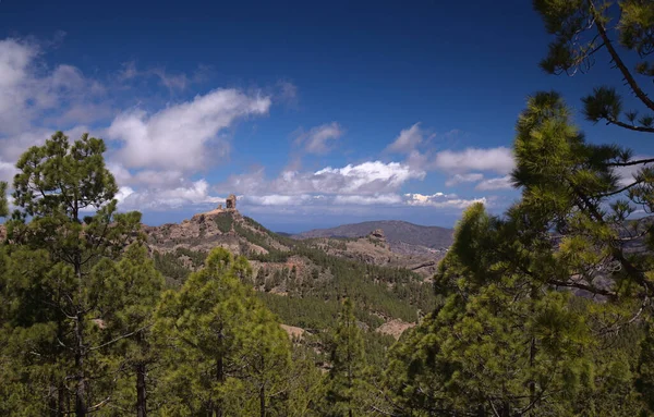 Gran Canaria Paisaje Parte Central Isla Las Cumbres Decir Las —  Fotos de Stock