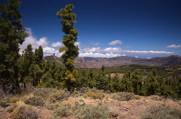 Gran Canaria Krajobraz Centralnej Części Wyspy Las Cumbres Czyli Szczyty — Zdjęcie stockowe