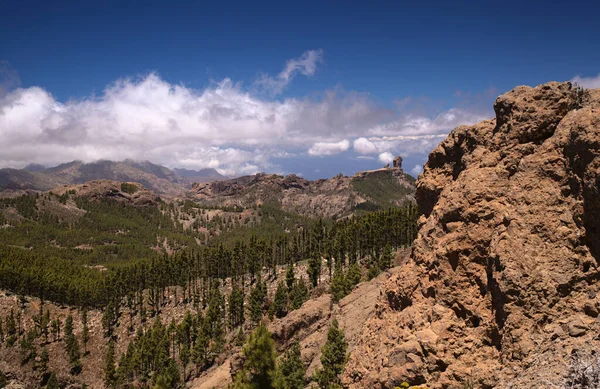 Gran Canaria Landskab Den Centrale Del Øen Las Cumbres Dvs - Stock-foto