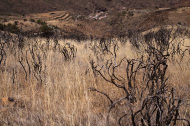 Gran Canaria, adanın merkezinin manzarası, Las Cumbres, yani Zirveler