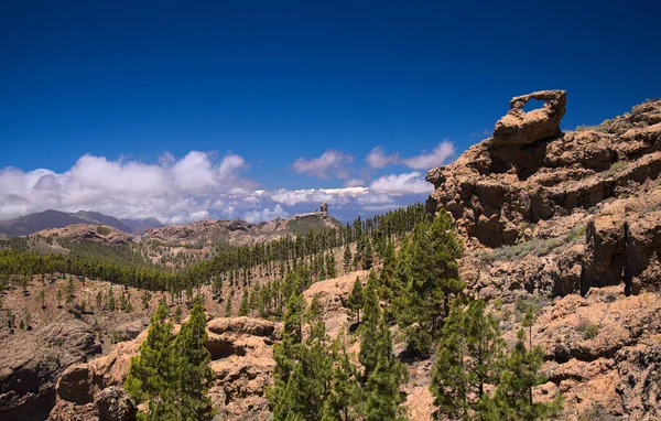 Gran Canaria Paisaje Parte Central Isla Las Cumbres Decir Las — Foto de Stock