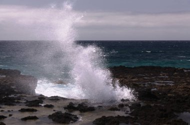 Gran Canaria 'nın kuzey batı kıyısı, Kanarya Adaları, Puerto de las Nieves bölgesi, uçan deniz köpüğü