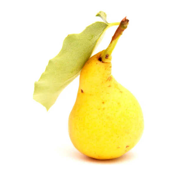 Small Yellow Pear Isolated White Background — Stock Photo, Image