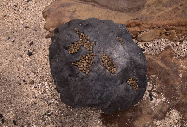 Gran Canaria Textures Rock Confital Beach Edge Las Palmas — стокове фото