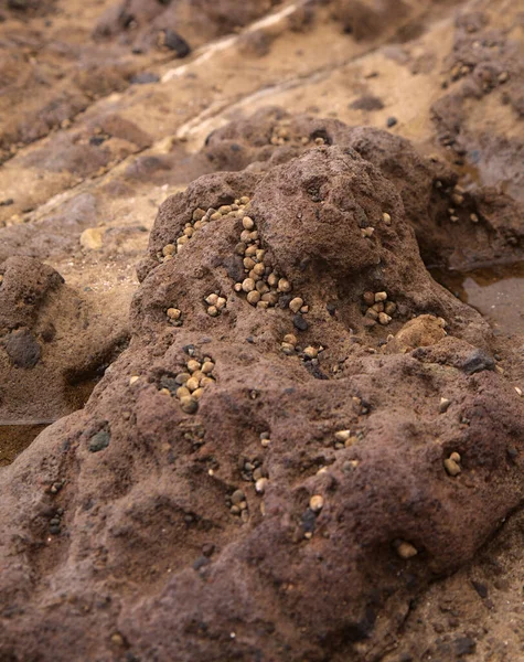 Gran Canaria Textures Rocks Confital Beach Edge Las Palmas — Stock Photo, Image