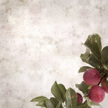 desenli eski kağıt arka plan, kare, kiraz eriği dalları ile