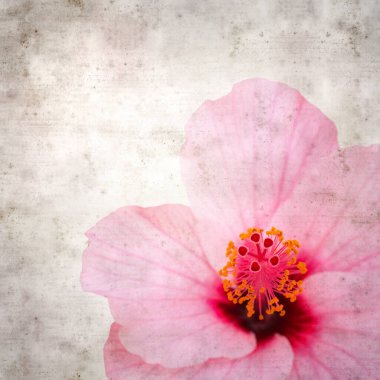 amber çiçeğiyle dokulu eski kağıt arkaplan