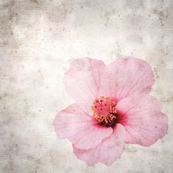 Getextureerd Oud Papier Achtergrond Met Hibiscus Bloem — Stockfoto